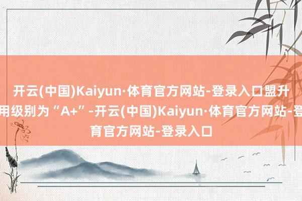 开云(中国)Kaiyun·体育官方网站-登录入口盟升转债信用级别为“A+”-开云(中国)Kaiyun·体育官方网站-登录入口