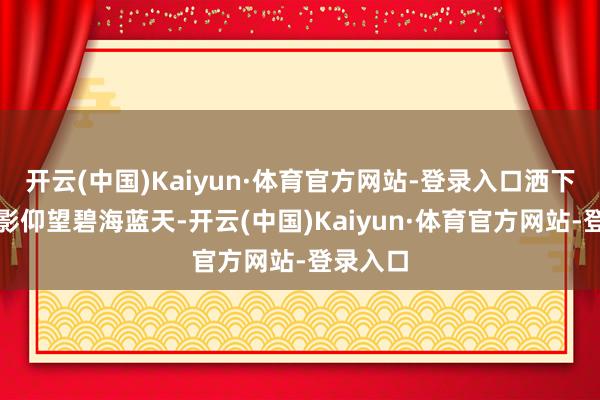开云(中国)Kaiyun·体育官方网站-登录入口洒下斑驳光影仰望碧海蓝天-开云(中国)Kaiyun·体育官方网站-登录入口