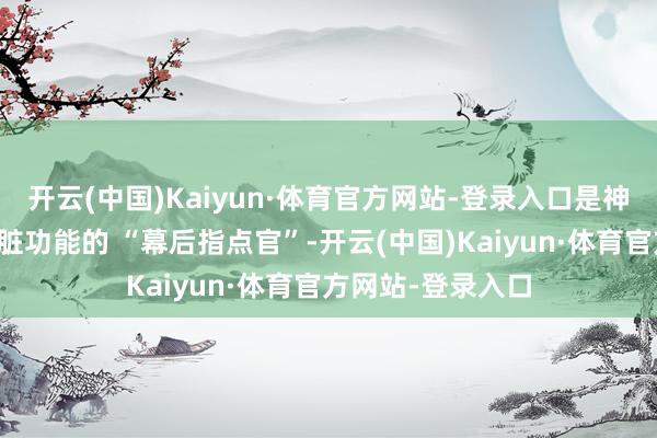开云(中国)Kaiyun·体育官方网站-登录入口是神经系统中掌管内脏功能的 “幕后指点官”-开云(中国)Kaiyun·体育官方网站-登录入口