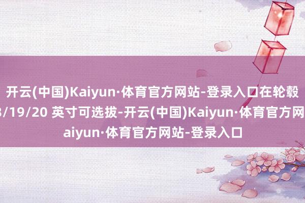 开云(中国)Kaiyun·体育官方网站-登录入口在轮毂方面提供 18/19/20 英寸可选拔-开云(中国)Kaiyun·体育官方网站-登录入口