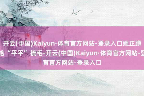 开云(中国)Kaiyun·体育官方网站-登录入口她正蹲在地上给 “平平” 梳毛-开云(中国)Kaiyun·体育官方网站-登录入口