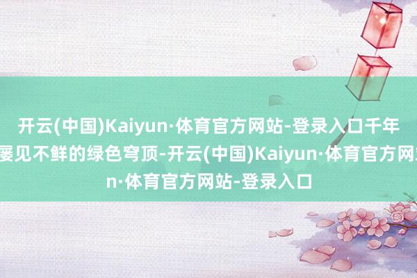 开云(中国)Kaiyun·体育官方网站-登录入口千年古木编织出屡见不鲜的绿色穹顶-开云(中国)Kaiyun·体育官方网站-登录入口
