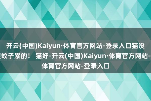 开云(中国)Kaiyun·体育官方网站-登录入口猫没精神是握蚊子累的! 猫好-开云(中国)Kaiyun·体育官方网站-登录入口
