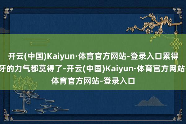 开云(中国)Kaiyun·体育官方网站-登录入口累得连洗脸刷牙的力气都莫得了-开云(中国)Kaiyun·体育官方网站-登录入口