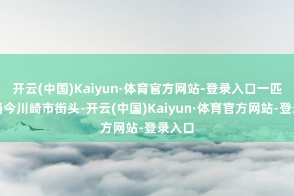 开云(中国)Kaiyun·体育官方网站-登录入口一匹马出当今川崎市街头-开云(中国)Kaiyun·体育官方网站-登录入口