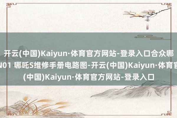 开云(中国)Kaiyun·体育官方网站-登录入口合众哪吒GT 哪吒L 哪吒N01 哪吒S维修手册电路图-开云(中国)Kaiyun·体育官方网站-登录入口