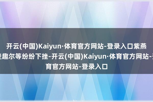 开云(中国)Kaiyun·体育官方网站-登录入口紫燕食物、麦趣尔等纷纷下挫-开云(中国)Kaiyun·体育官方网站-登录入口