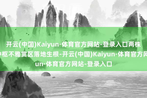 开云(中国)Kaiyun·体育官方网站-登录入口两株名梅在公园中枢不雅赏区落地生根-开云(中国)Kaiyun·体育官方网站-登录入口