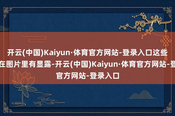 开云(中国)Kaiyun·体育官方网站-登录入口这些操作都在图片里有显露-开云(中国)Kaiyun·体育官方网站-登录入口