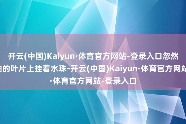 开云(中国)Kaiyun·体育官方网站-登录入口忽然发现最新抽的叶片上挂着水珠-开云(中国)Kaiyun·体育官方网站-登录入口