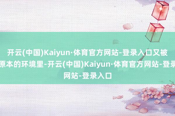 开云(中国)Kaiyun·体育官方网站-登录入口又被推回原本的环境里-开云(中国)Kaiyun·体育官方网站-登录入口