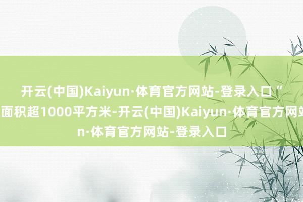 开云(中国)Kaiyun·体育官方网站-登录入口 “这座造浪池面积超1000平方米-开云(中国)Kaiyun·体育官方网站-登录入口
